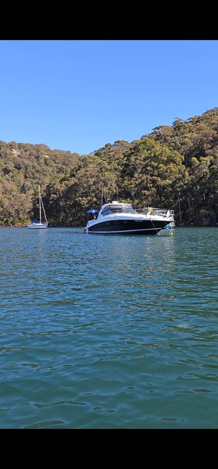 Sea Ray 44 Sundancer