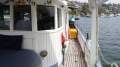 Boden Trawler Style Charter Boat - AMSA Survey 1E & 1C