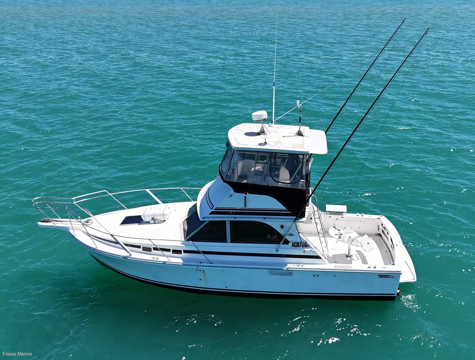 Bertram Caribbean 35