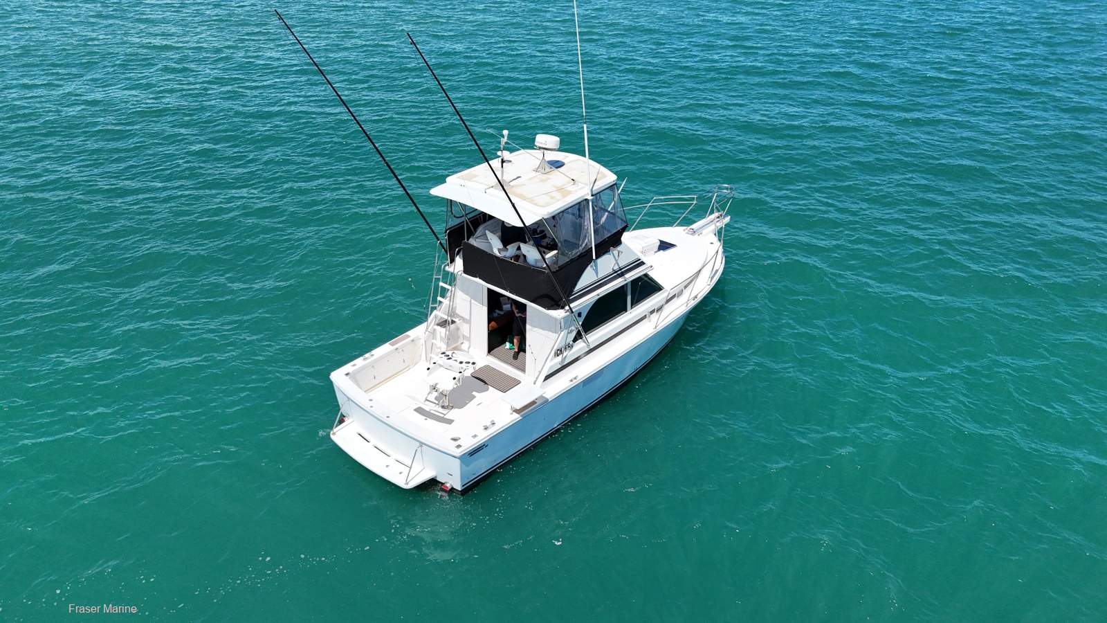 Bertram Caribbean 35