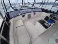 Bertram Caribbean 35