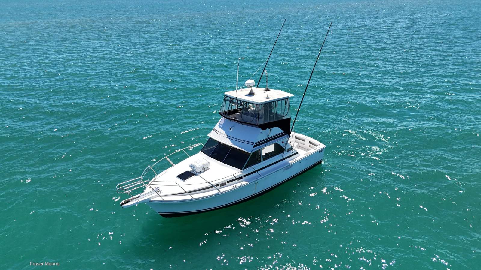 Bertram Caribbean 35