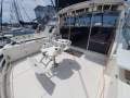Bertram Caribbean 35