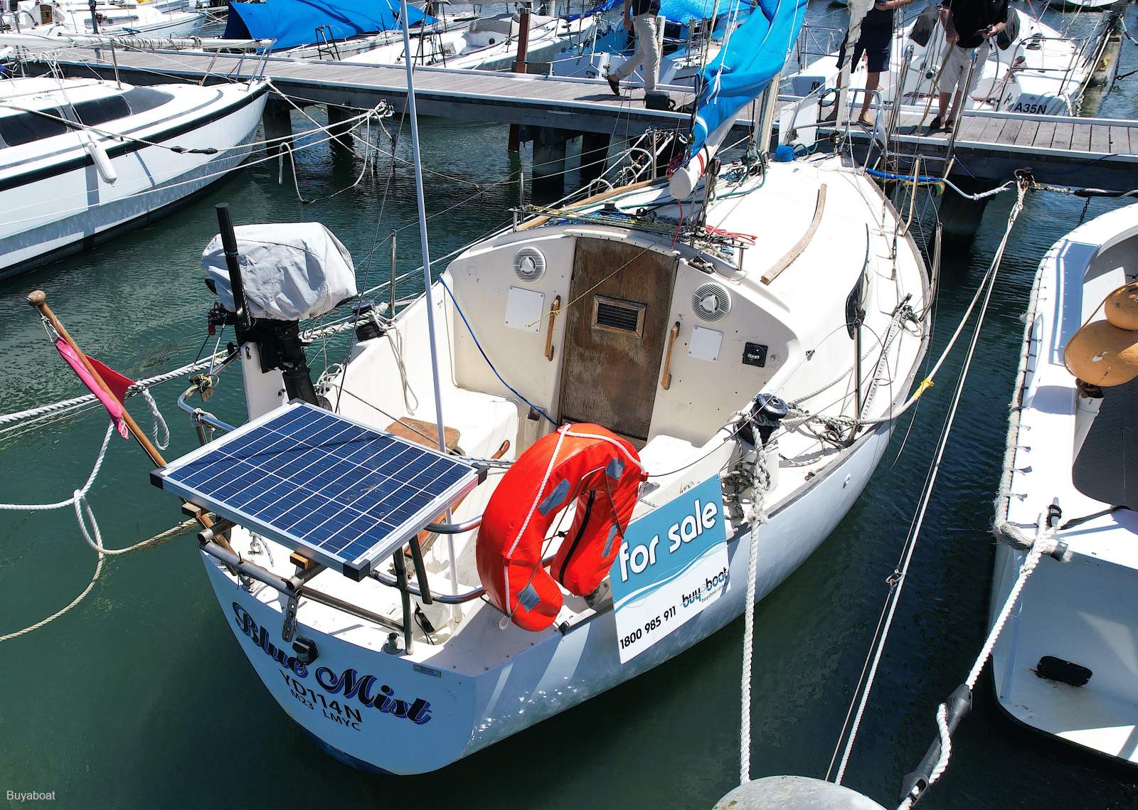Triton 24