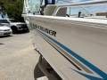 Savage 435 Bay Cruiser 2017 with a 4 stroke motor, neat as!