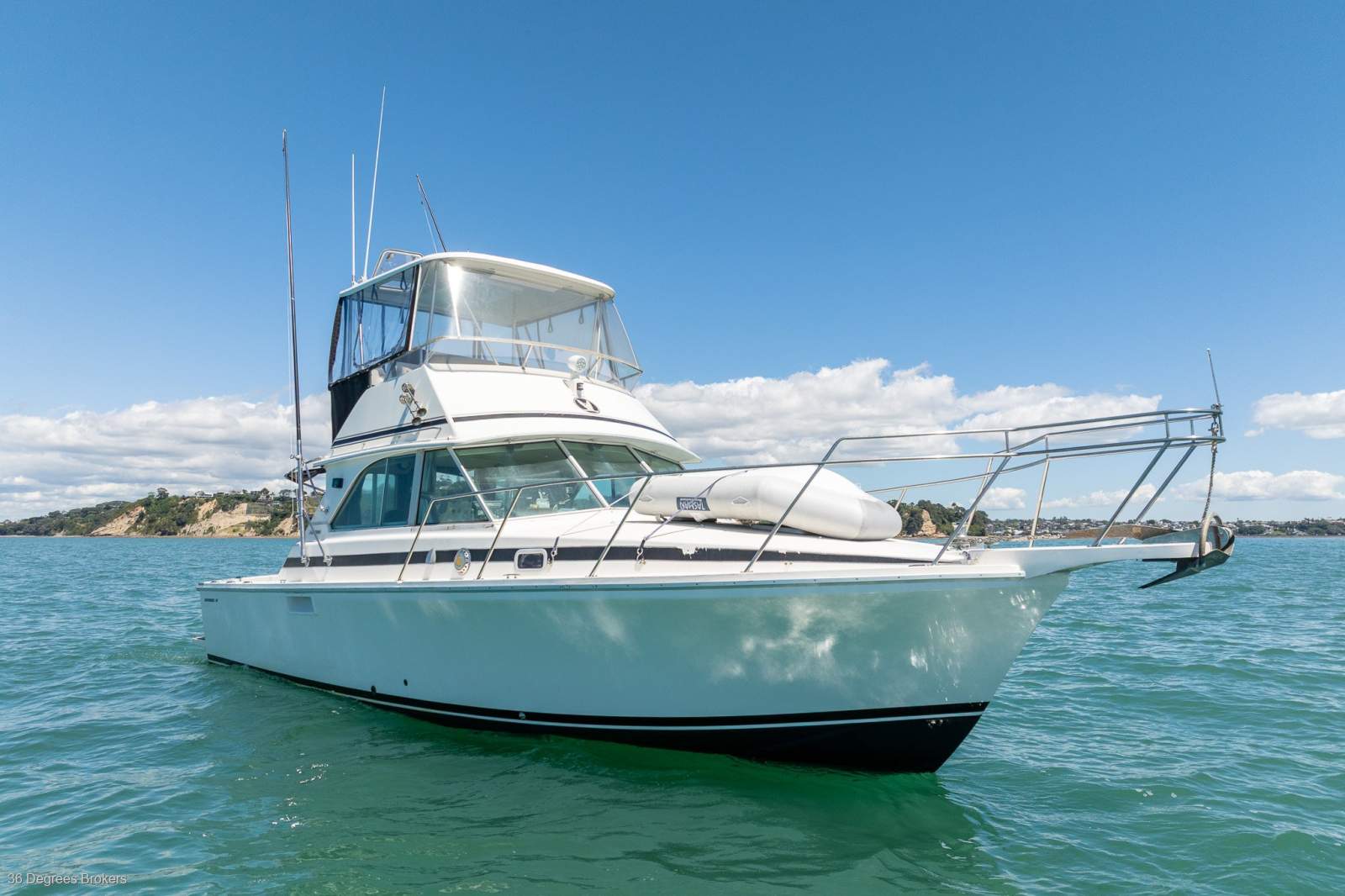 Bertram Caribbean 35