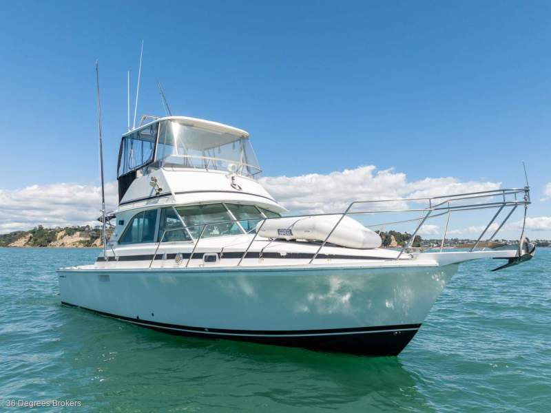 Bertram Caribbean 35