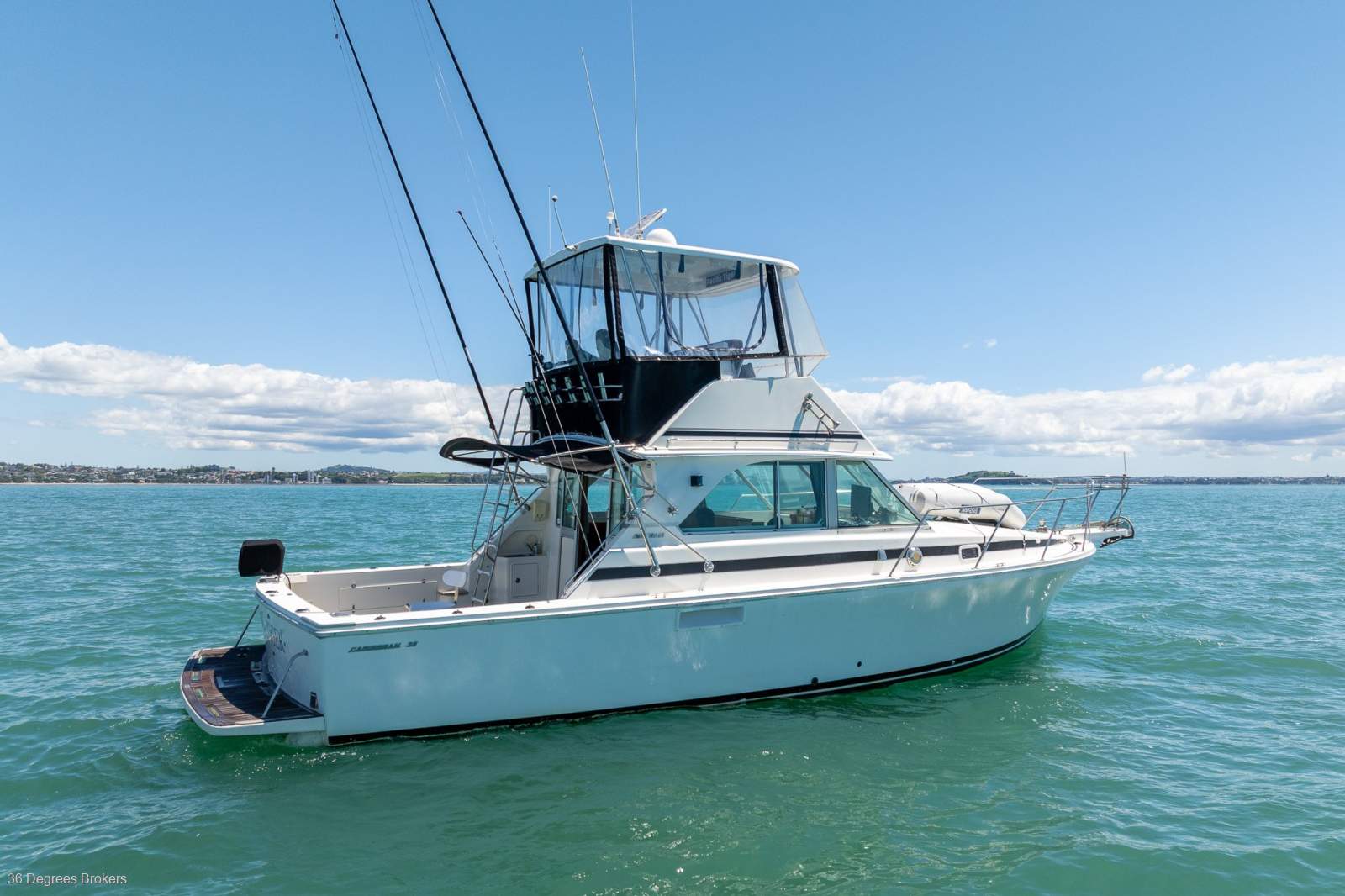 Bertram Caribbean 35