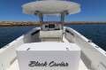 Deepwater 28 Center Console "Pier 21 Pen Available"