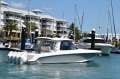 Boston Whaler 380 Realm