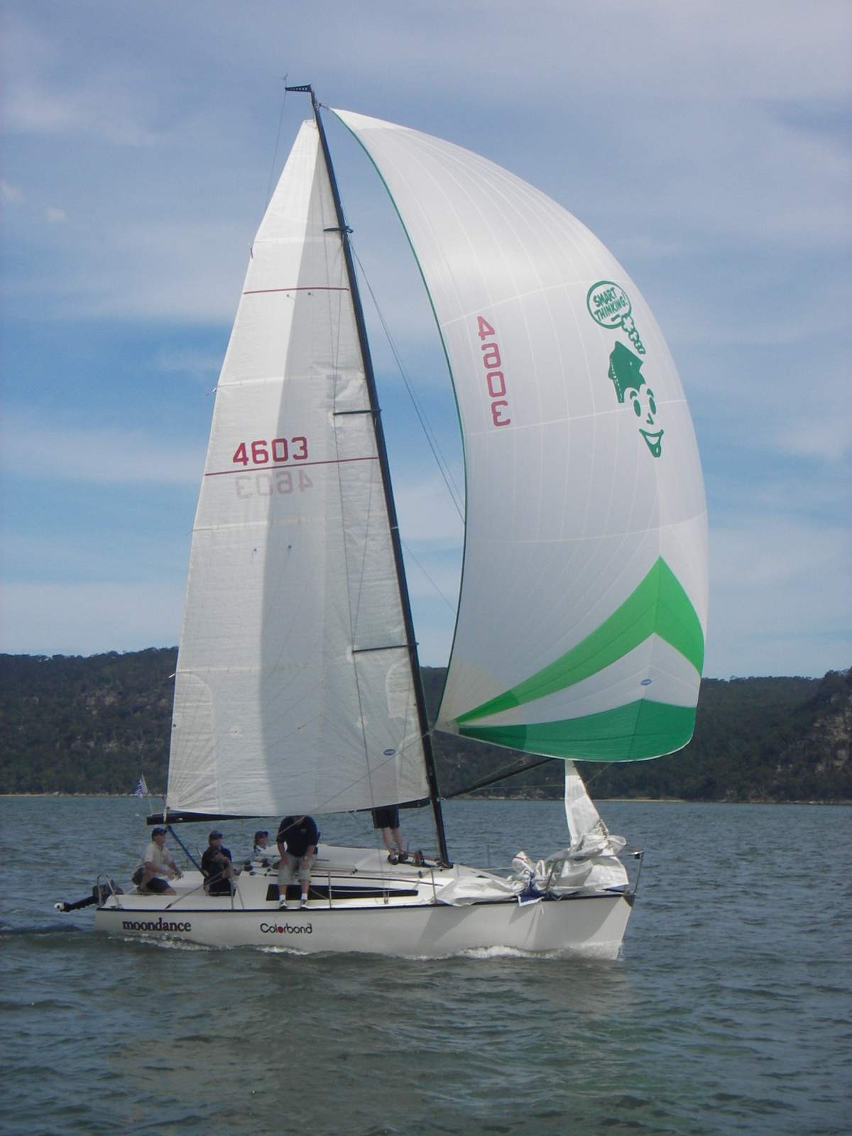 Spider 28