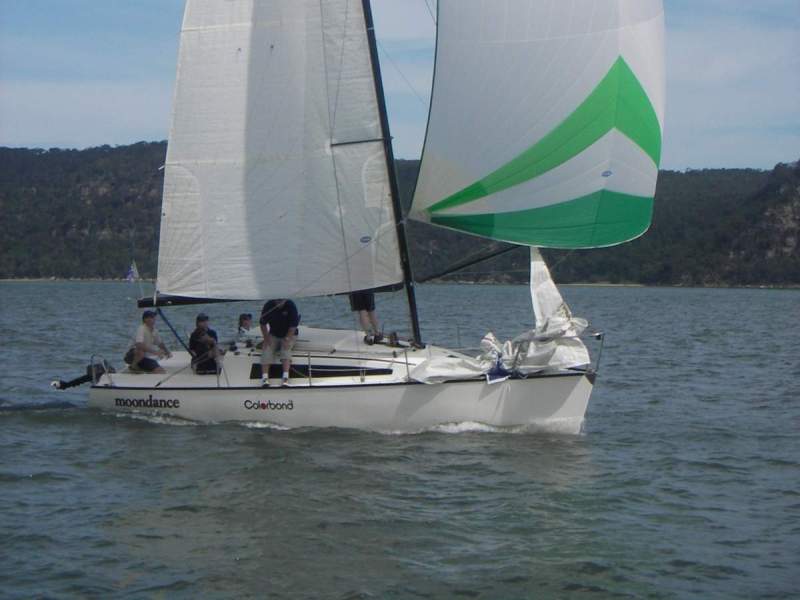 Spider 28