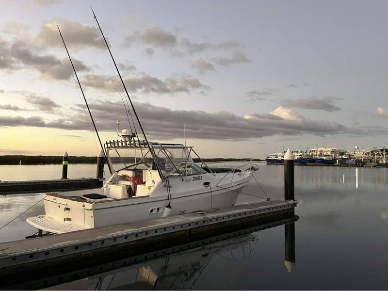 Black Watch Deep Vee 310 SE