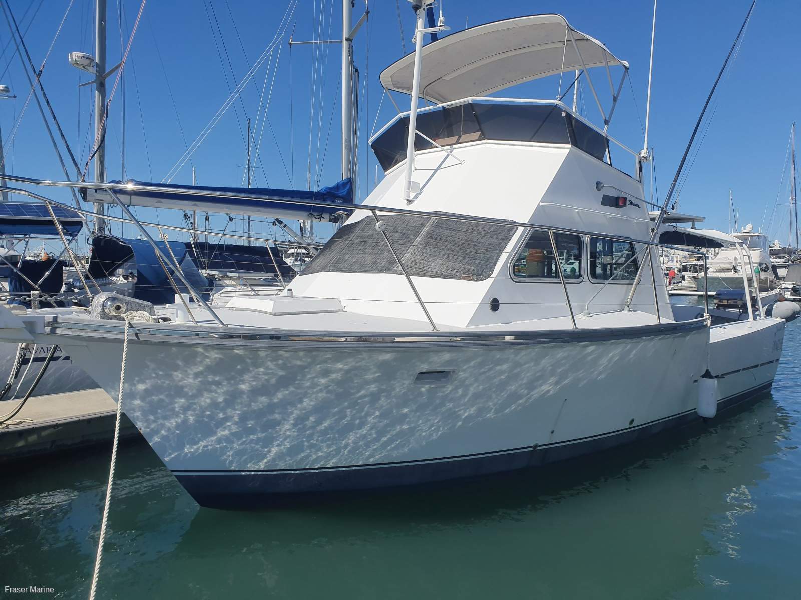 Striker Flybridge 37