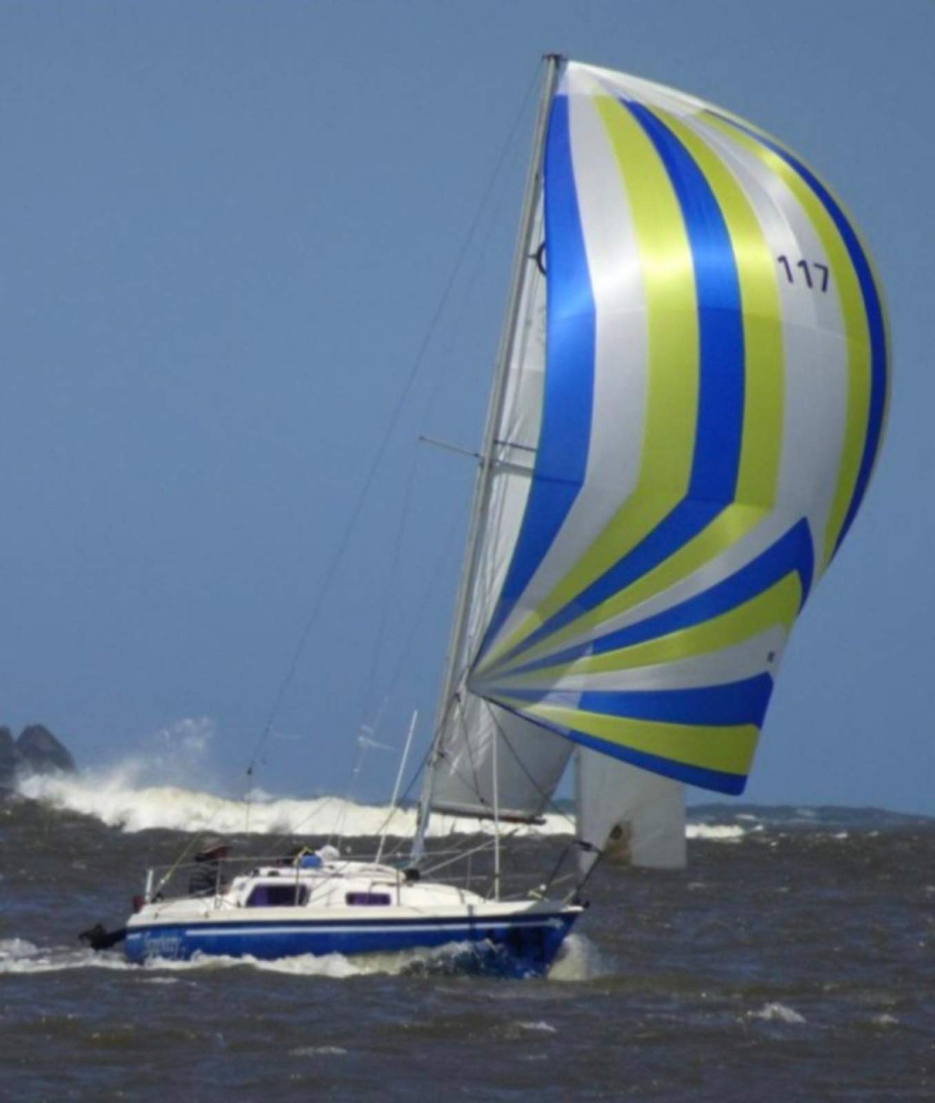 Careel 22 L:RRSC Large kite (2022)