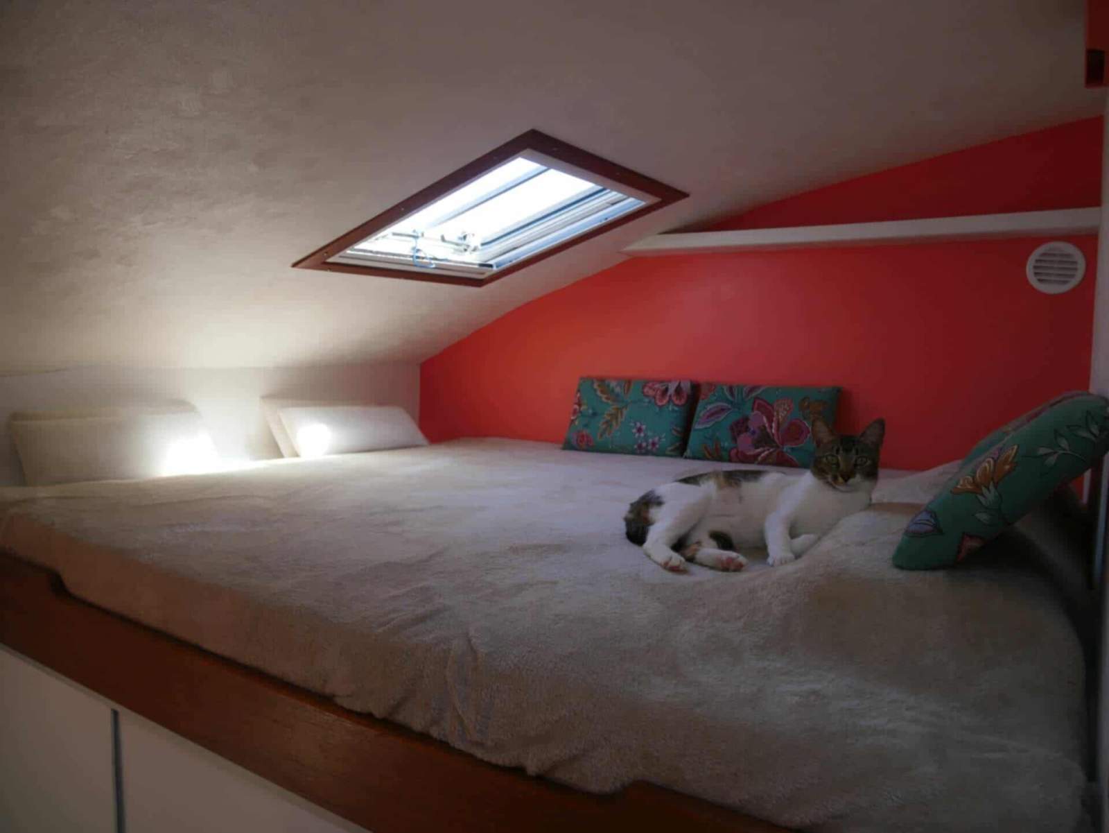 Prometa Cat Flotteur 42 42' aluminium catamaran