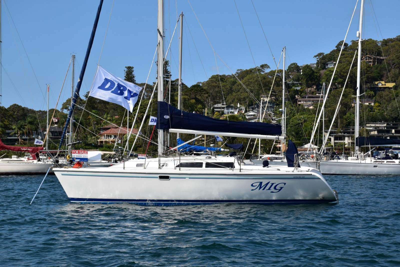 Catalina 320