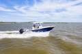 Sea Fox 288 Commander - NEW ENGINES & INCLUDES SEA PEN