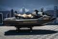 Sea-Doo GTX LTD 300 IDF