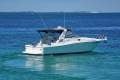 Sea Ray 33 Express Cruiser