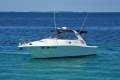 Sea Ray 33 Express Cruiser