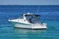 Sea Ray 33 Express Cruiser