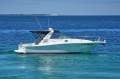 Sea Ray 33 Express Cruiser