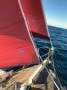 Classic 32ft cold moulded sloop, new engine!