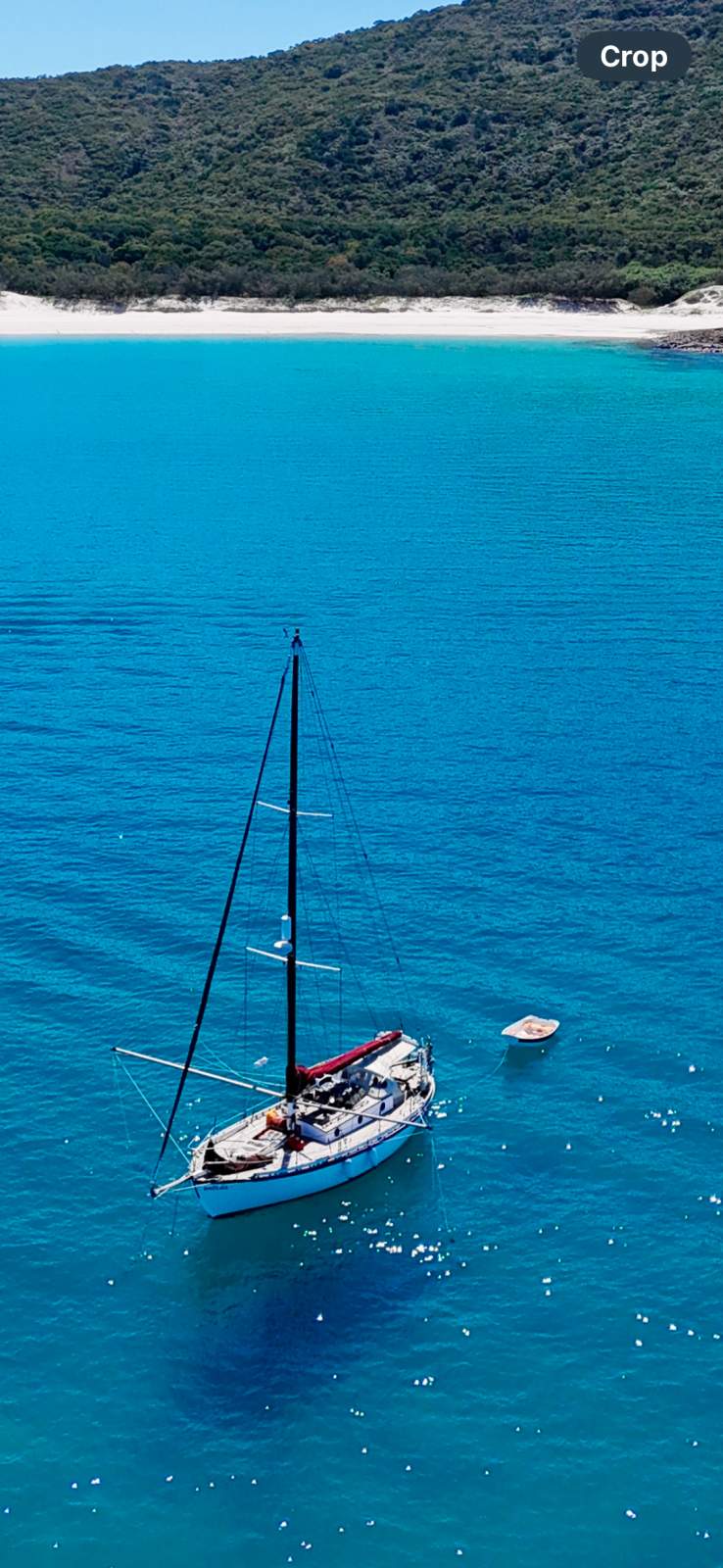 Classic 32ft cold moulded sloop, new engine!