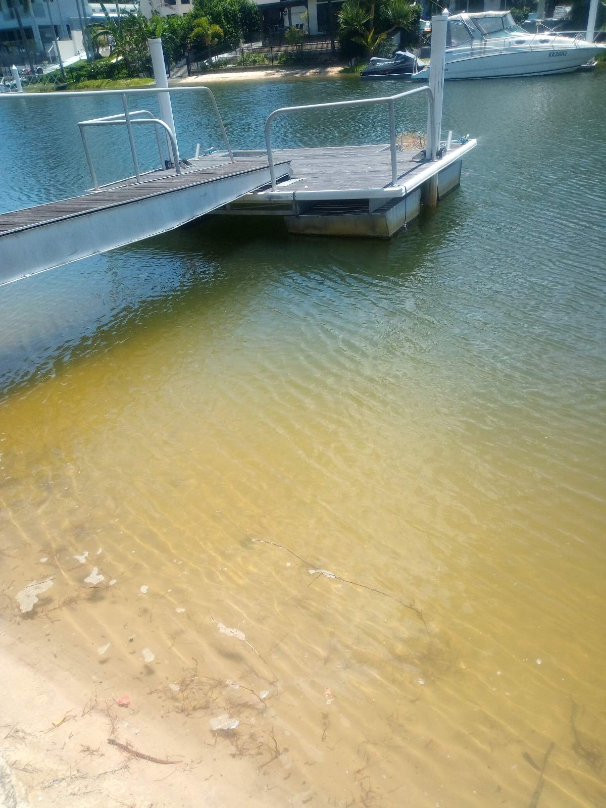 Pontoon and runway for sale