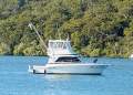 Riviera 34 Platinum Flybridge