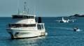 Business Package For Sale: Cannon Charters