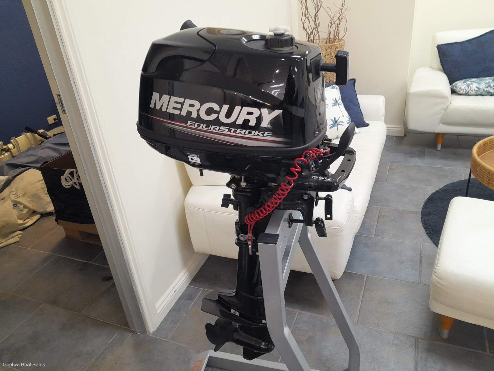 2019 Mercury 6hp 4 stroke