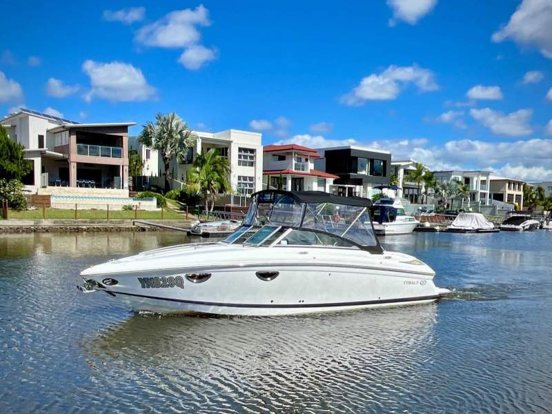 Cobalt 243 Cuddy Cabin