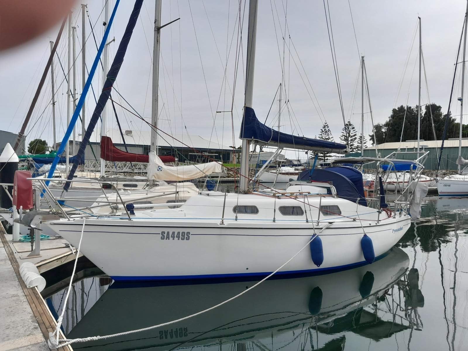 Austral 30