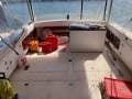 Cresta 32 Flybridge Fiberglass Shaft Drive (Sydney Harbour)