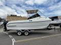 Cobra Cat 6.4 Twin 150hp Mercury 2 Stroke motor 310hrs