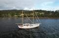 Timber Motor Sailer - Ex Shark Fishing Boat