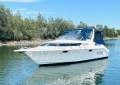 Haines Signature 850 Sportsbridge