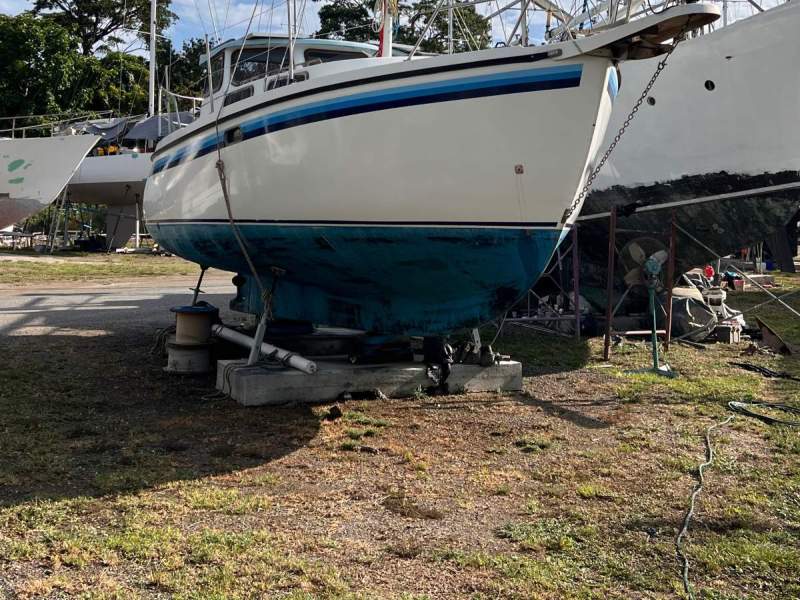 Mangrove Jack Motorsailer