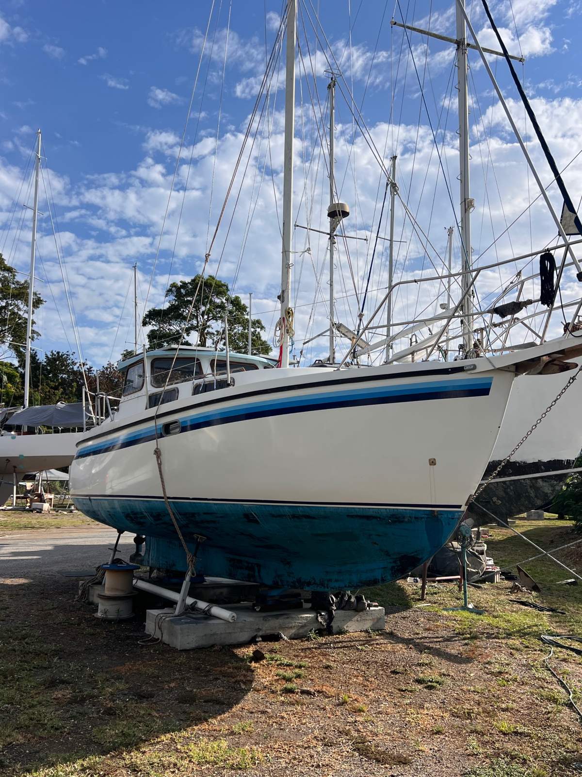 Mangrove Jack Motorsailer