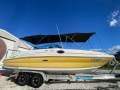 Sea Ray 240 Sundeck