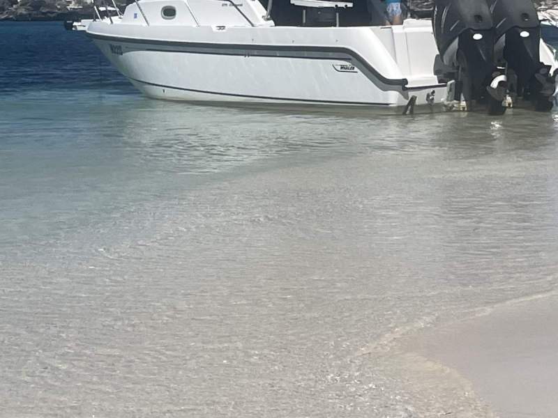 Boston Whaler 275 Conquest