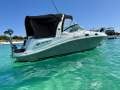 Sea Ray 275 Sundancer On custom trailer with Tender and 2 strk Outboard