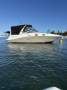 Sea Ray 275 Sundancer On custom trailer with Tender and 2 strk Outboard