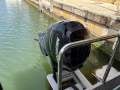 Bouvard Marine Pontoon Day Tripper Ex survey 16+2 luxury pontoon