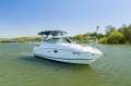 Sea Ray 260 Sundancer