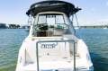 Sea Ray 260 Sundancer