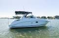Sea Ray 260 Sundancer