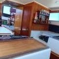 Mariner 26 Pacer Flybridge Cruiser Displacement Cruiser
